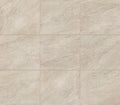 Advantage Distressed Beige