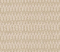 Aftereffects Navajo
