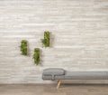 Avara Floor and Wallcovering Kennett Chalk