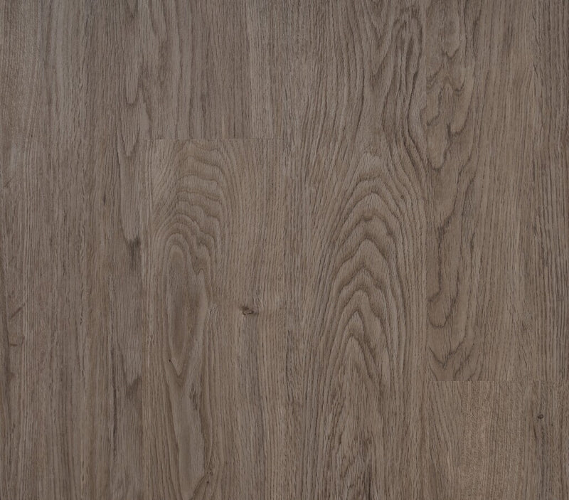 Avara Floor and Wallcovering Lavallette Oak