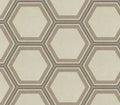 Bee Hive Honeycomb Warm
