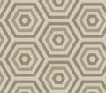 Bee Hive Target Warm Blend