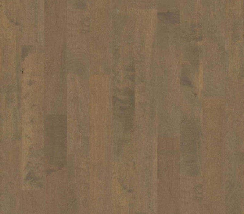 Brooksville SB Oceanside