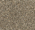 Canine Chic Cracked Wheat