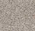 Canine Comfort Soapstone