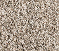Cassius Elk Beige