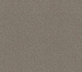 Commanding Tonal Owl