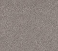 Commanding Tweed Oxford