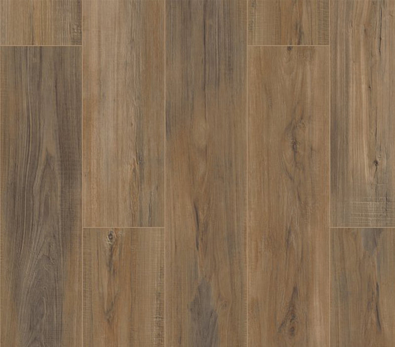 COREtec Pro Plus Enhanced Edinburgh Oak