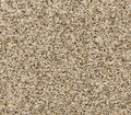 Diffurent Choice I Bisque