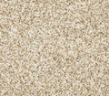 Diffurent Choice I Coconut