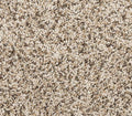 Diffurent Choice I Frosty Spice