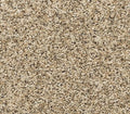 Diffurent Choice III Bisque
