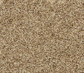 Diffurent Choice III Parchment