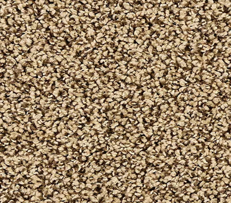 Elegant Tones Mocha Brown
