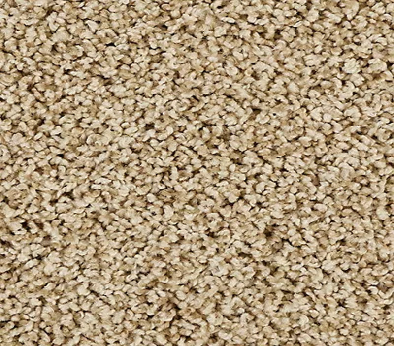 Elegant Tones New Wheat