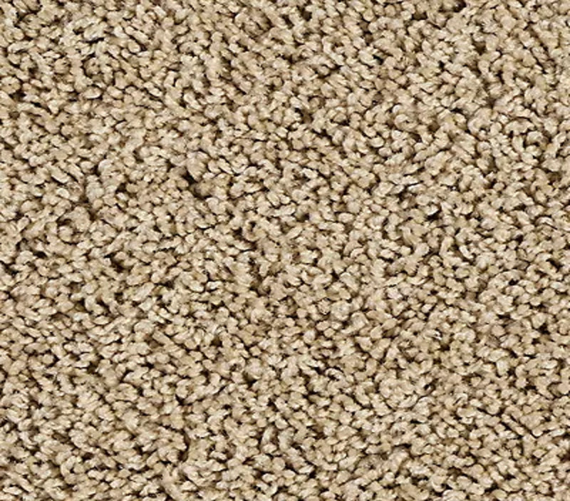 Elegant Tones Safari Tan