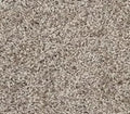 Floorigami Carpet Diem SB 102 Cozy Taupe