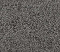 Floorigami Carpet Diem SB 501 Nightfall