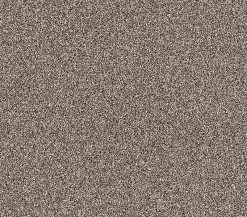 Grandiose Chestnut