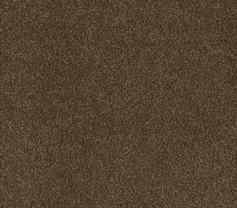 Hammond Creek II Black Walnut