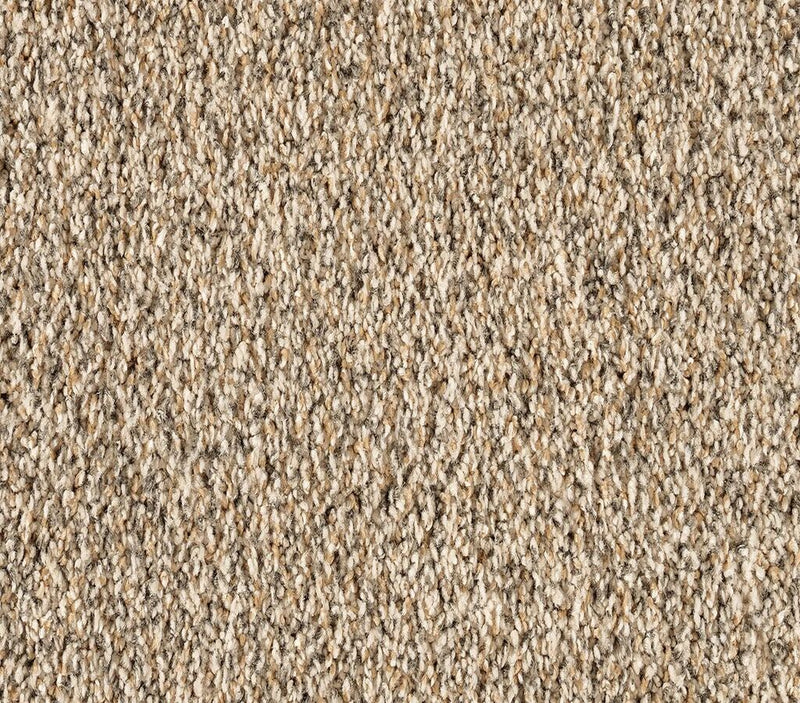 Luxuriant Surface Shorescape