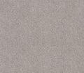 Luxurious Vision Soft Smoke