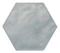 Mesmerist Whimsy