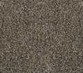 Momentun 1278 Metallic