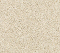 Purrsonality III Canvas Cloth