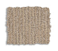Sneak Peek Canyon Dust