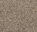 Spectrum Sound Grey