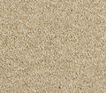 Zenith Sandy Dunes