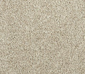 Zenith Sheer Light