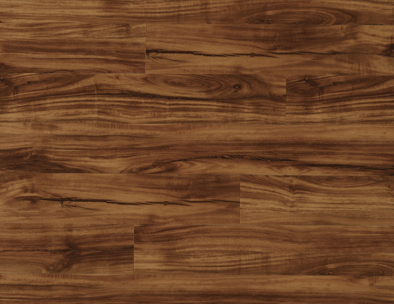 COREtec Plus Gold Coast Acacia