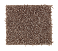 Action Item Nutmeg Swirl