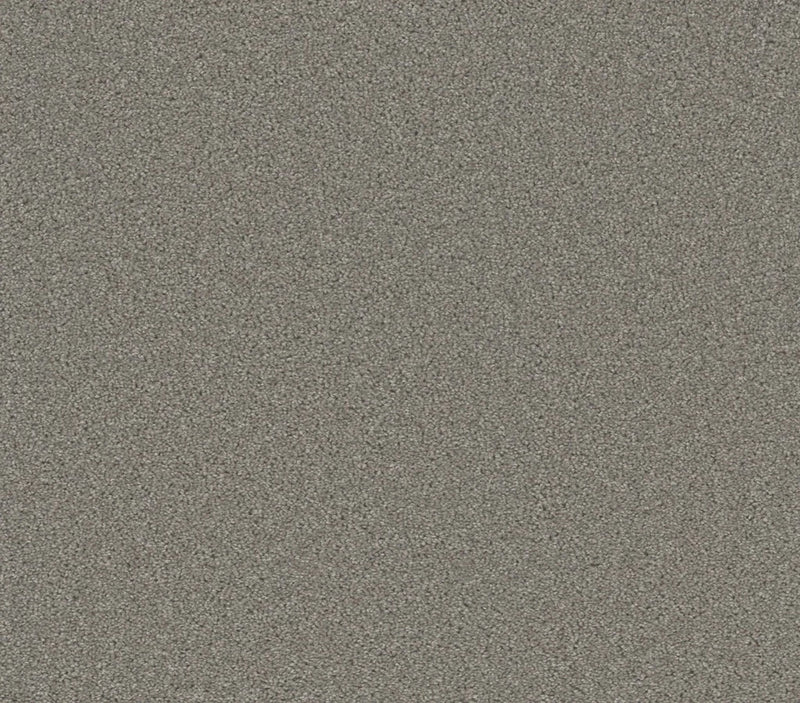 Airwaves Plus Silver Birch