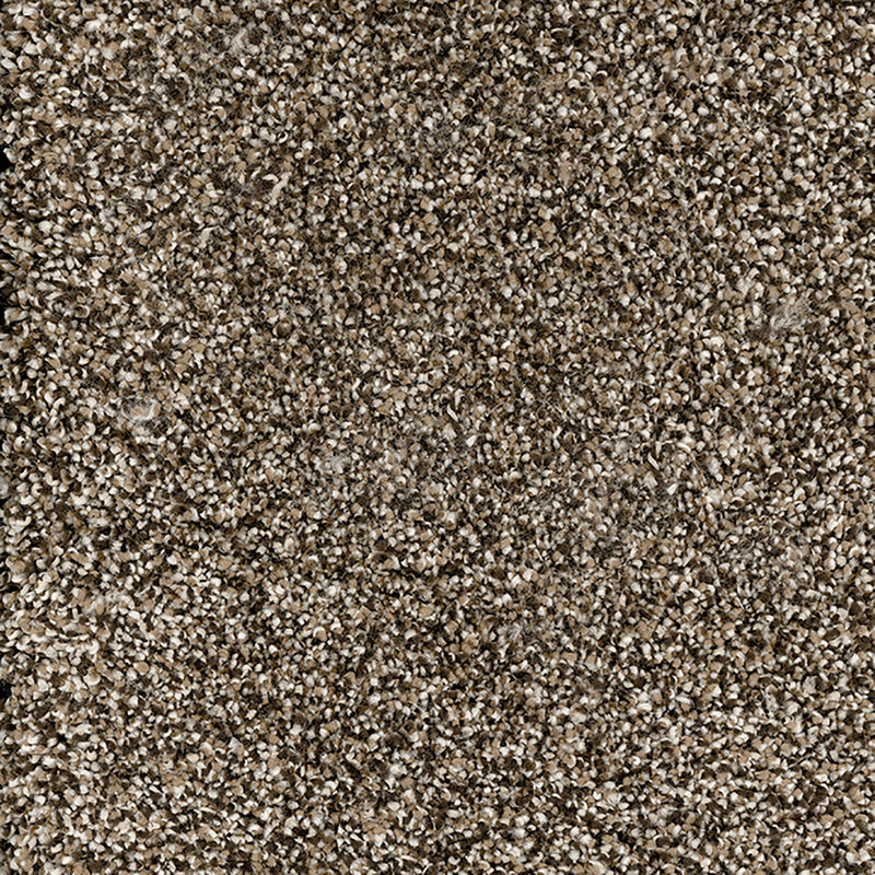 Queens Saddle Brown