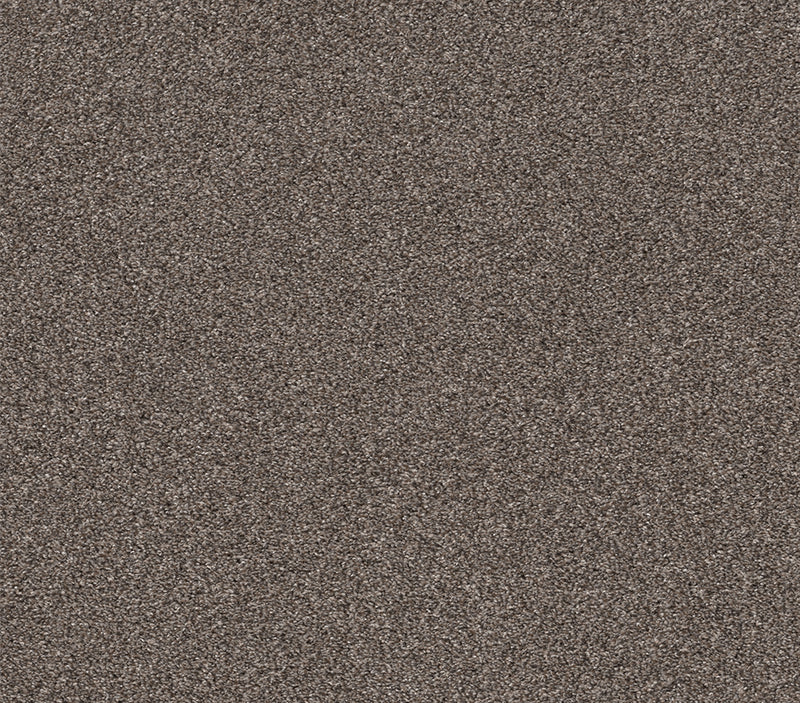 Calm Simplicity I Antelope