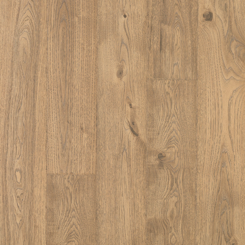Elderwood Sandbank Oak