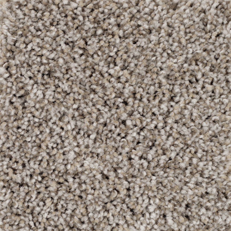 Companion Sharkskin
