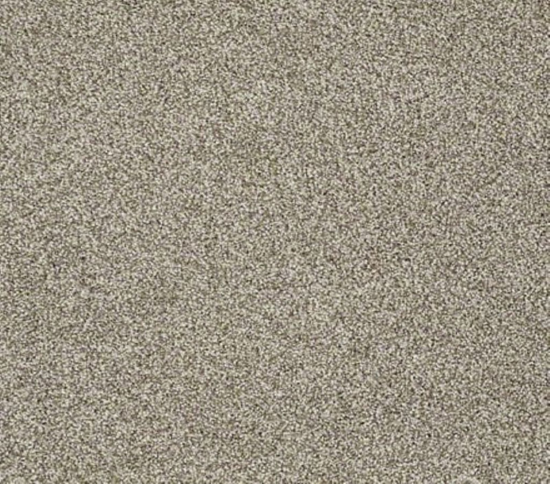 Confident Smile Smooth Slate