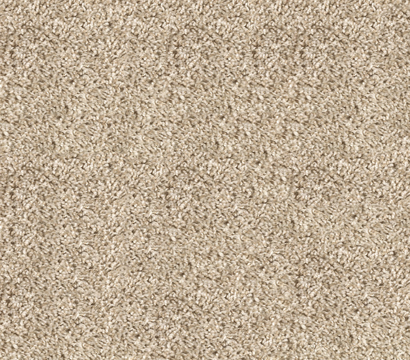 Easy Street Linen Canvas
