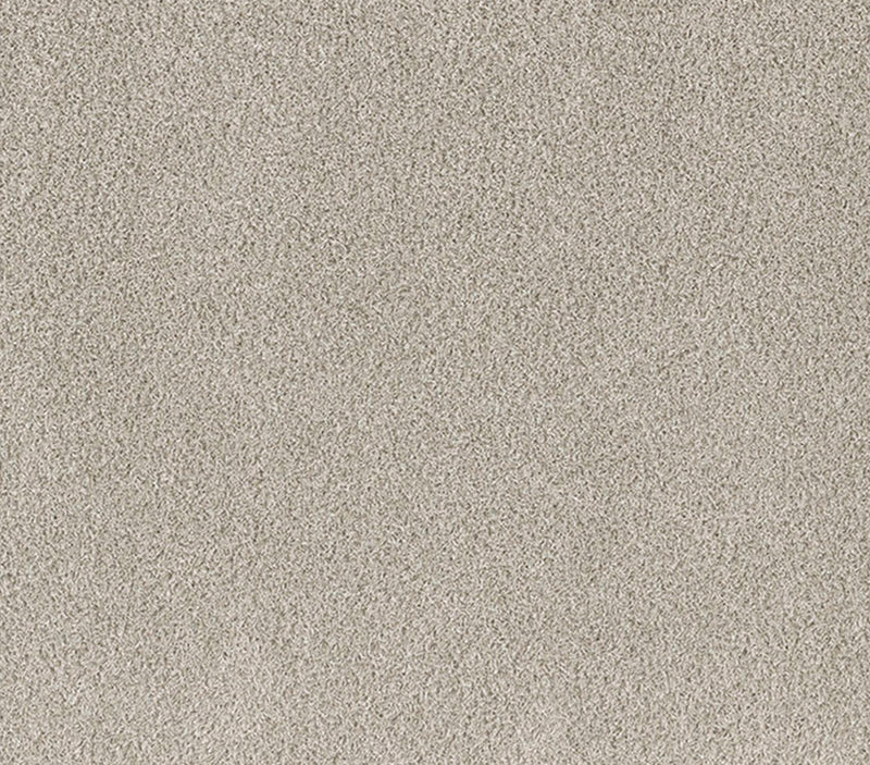 Forever Shag 5x7 Cream 5x7