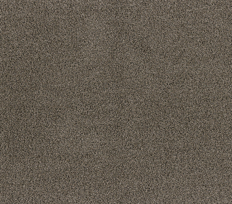 Forever Shag 5x7 Taupe 5x7