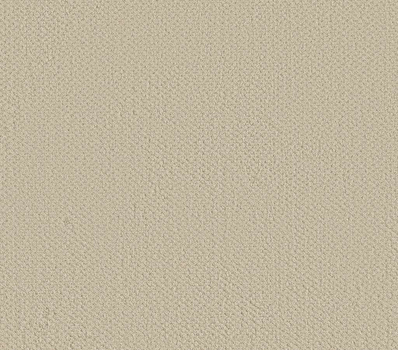 Genesis Canvas