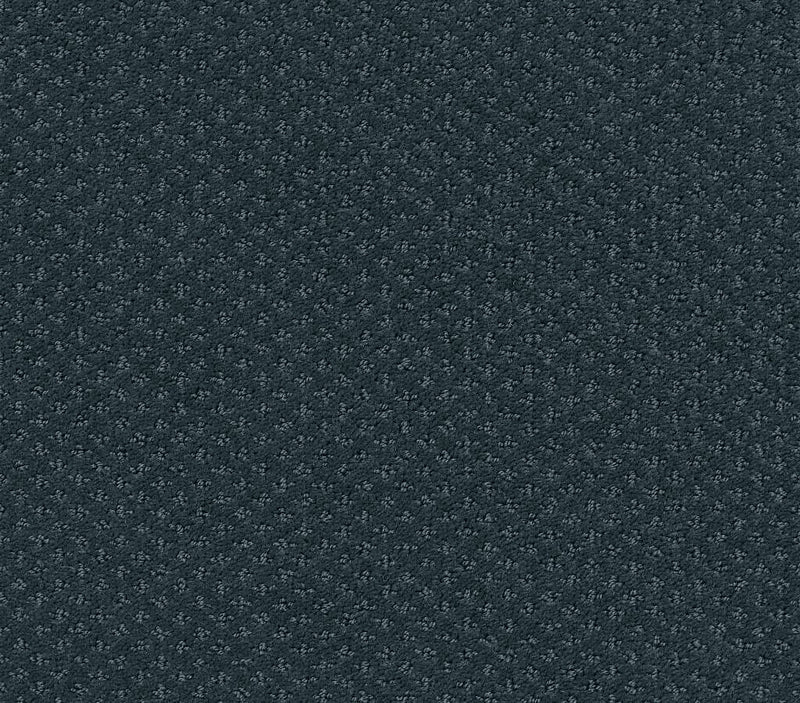 Genesis Indigo