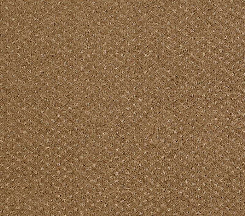 Genesis Leather Bound