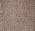 Goldy Sea Drift