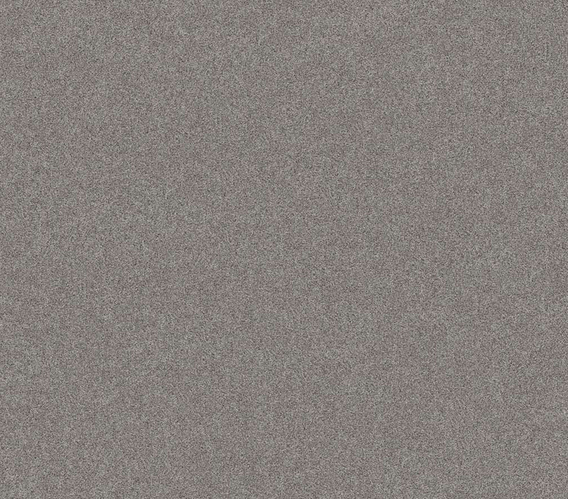 Harmonious III Grey Fox
